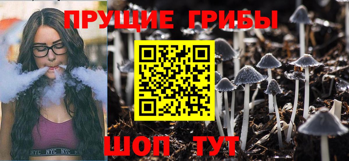 Псилоцибиновые грибы Psilocybe Калуга